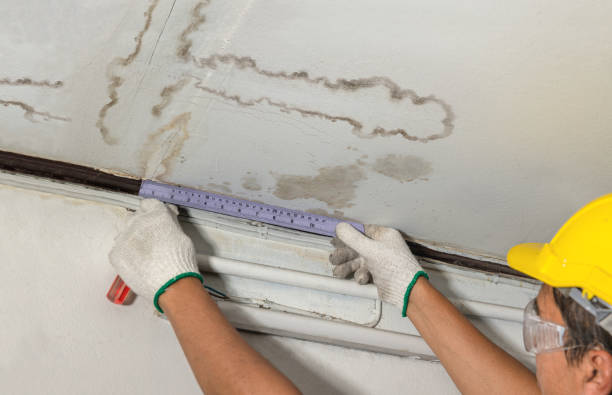 Reliable Mold Remediation contractor in Rowe, MA by Water Damage Irwin
